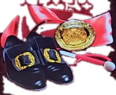 Muleta, medallion and torero shoes symbol